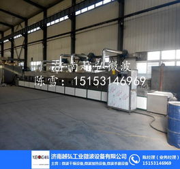 微波干燥膨化机 提升食品加工效率的先进机械设备